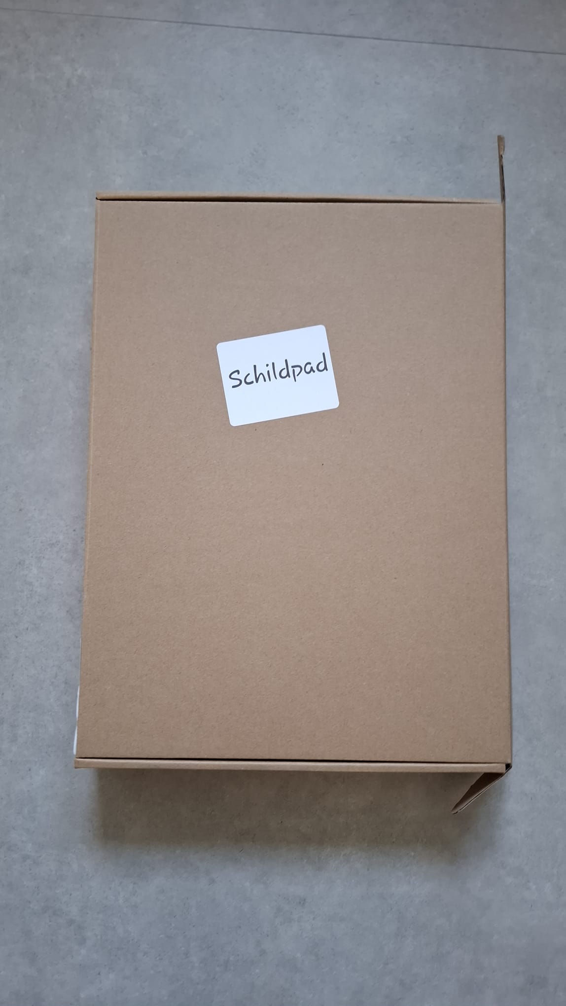 Thema Box Schildpad