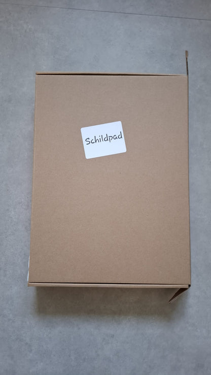 Thema Box Schildpad