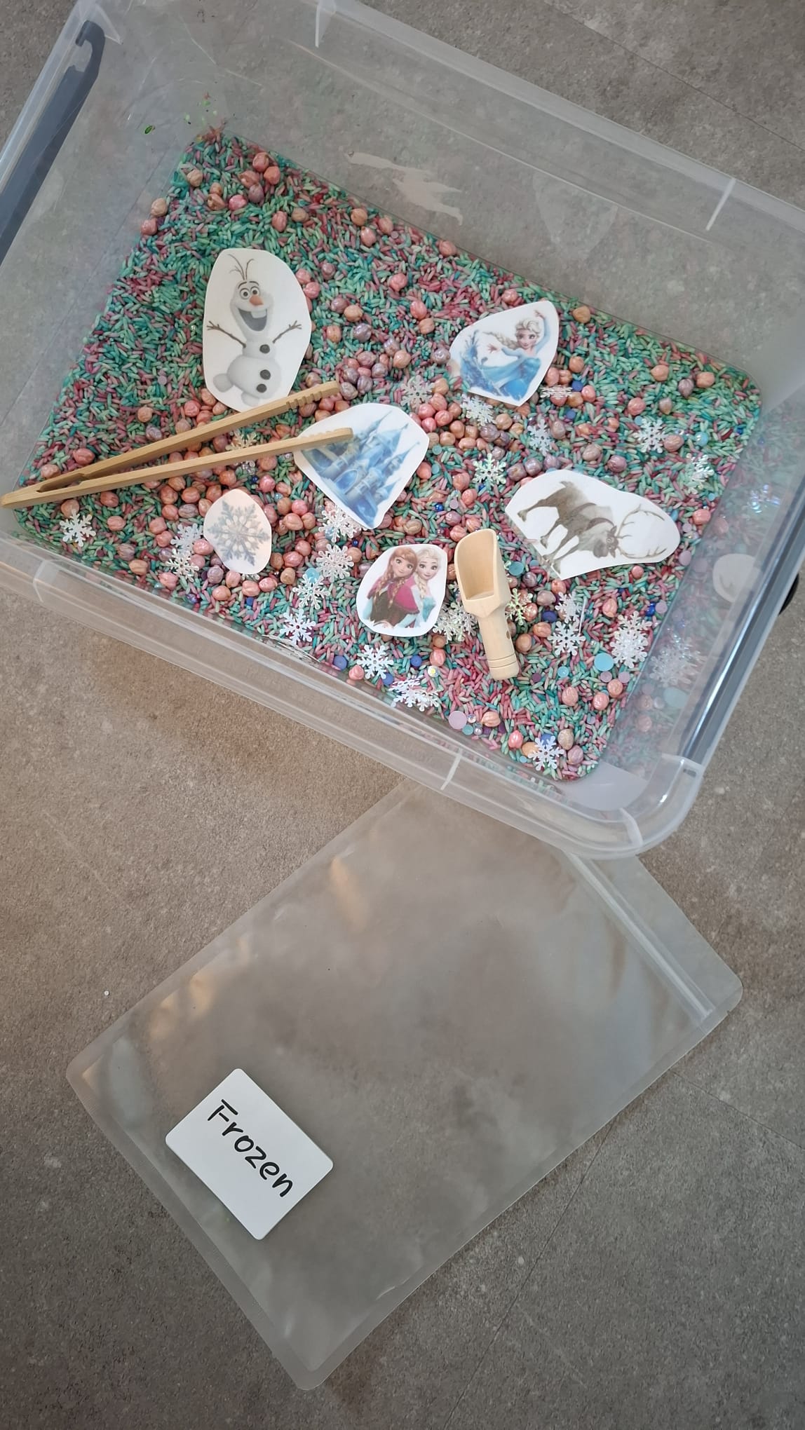 Speelrijst Frozen