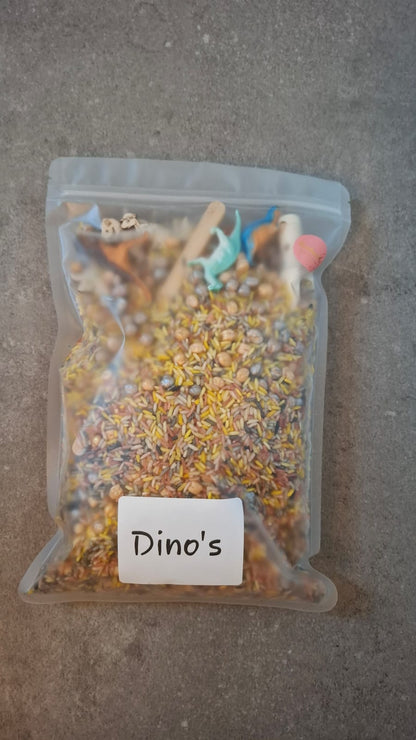 Speelrijst Dino's